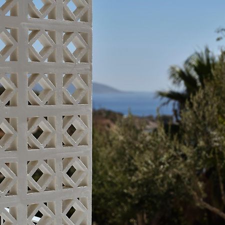 Doryssa Lithos Hotel بيثاغوريو المظهر الخارجي الصورة